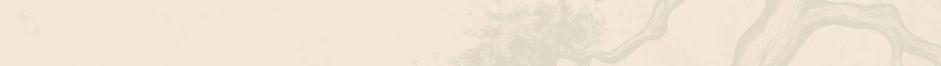 Mental load management